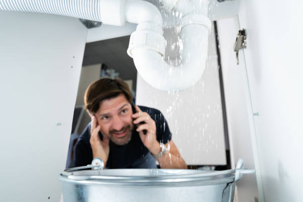 Best Sewer Line Repair  in Pageland, SC